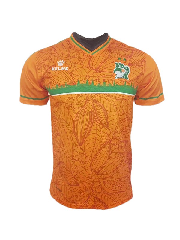 Cote d'Ivoire Soccer Jersey Away Replica 2020