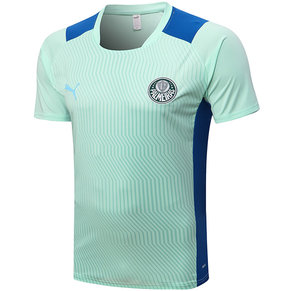 Palmeiras pre-match training jersey soccer uniform men's green blue sportswear football kit sports top shirt 2022-2023